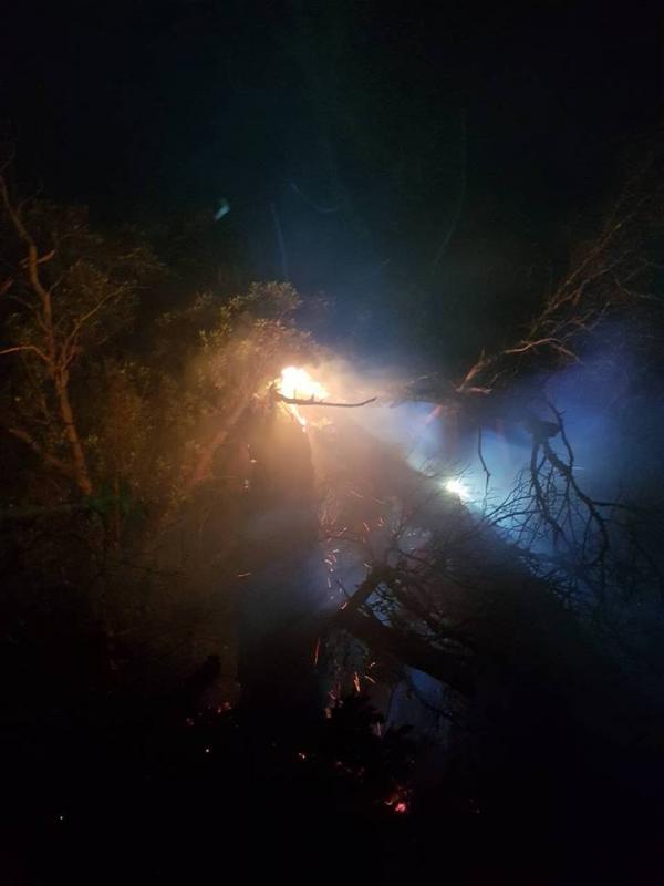 ZBOG UDARA GROMA Vatrogasci su cijelu noć gasili požar na Šipanu