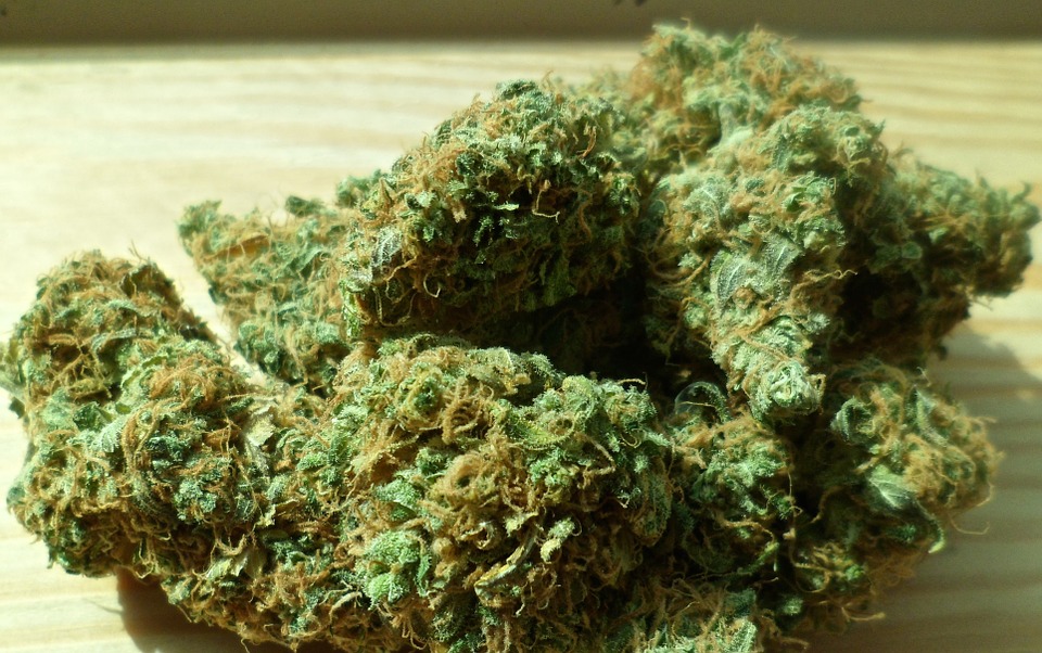 kući 47-godišnjaka pronađena crna vreća sa 40 paketića marihuane