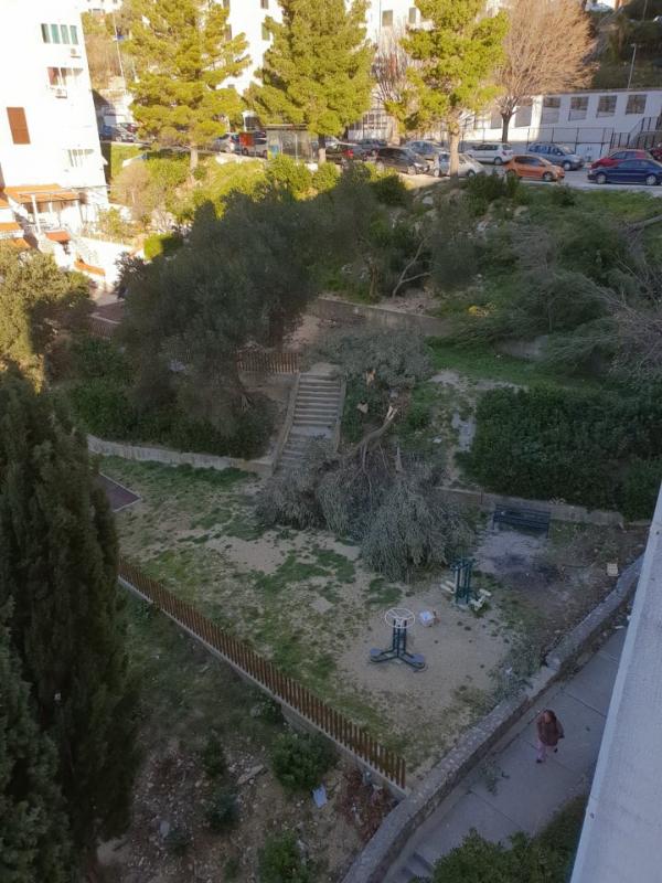 POSLJEDICE ORKANSKE BURE Čupala stabla po gradu, izazvala požare, štete se zbrajaju (FOTO/VIDEO)
