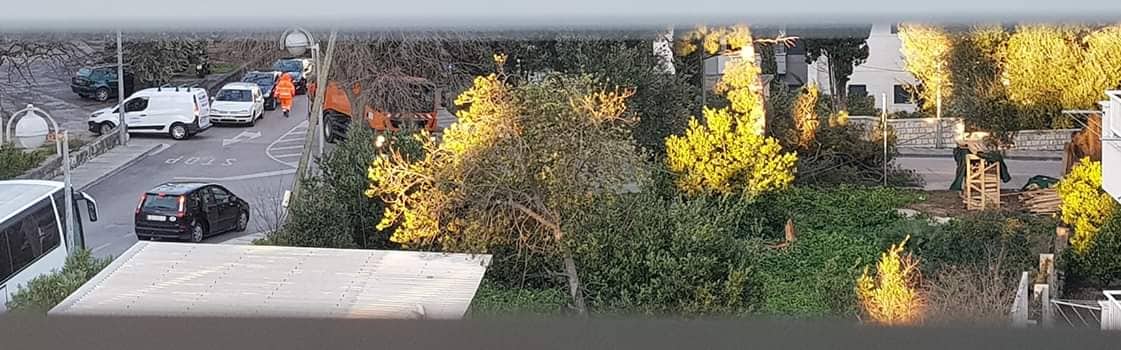 POSLJEDICE ORKANSKE BURE Čupala stabla po gradu, izazvala požare, štete se zbrajaju (FOTO/VIDEO)