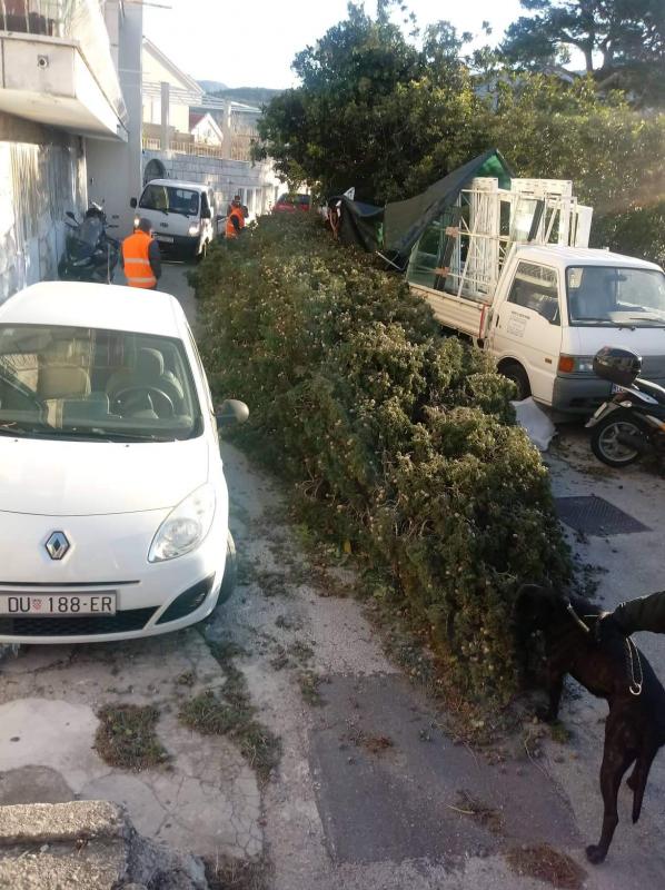 POSLJEDICE ORKANSKE BURE Čupala stabla po gradu, izazvala požare, štete se zbrajaju (FOTO/VIDEO)