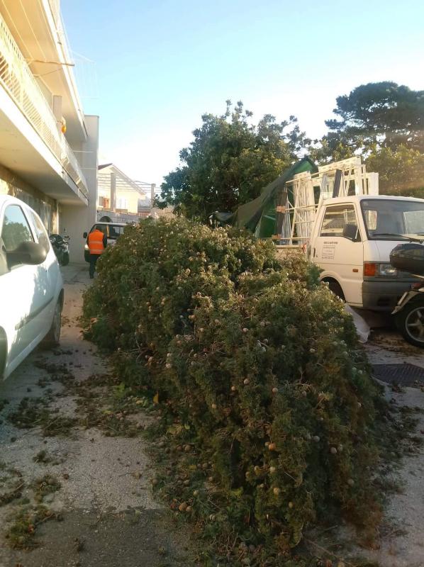 POSLJEDICE ORKANSKE BURE Čupala stabla po gradu, izazvala požare, štete se zbrajaju (FOTO/VIDEO)