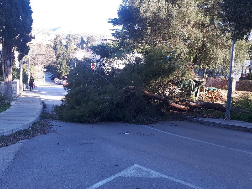 POSLJEDICE ORKANSKE BURE Čupala stabla po gradu, izazvala požare, štete se zbrajaju (FOTO/VIDEO)