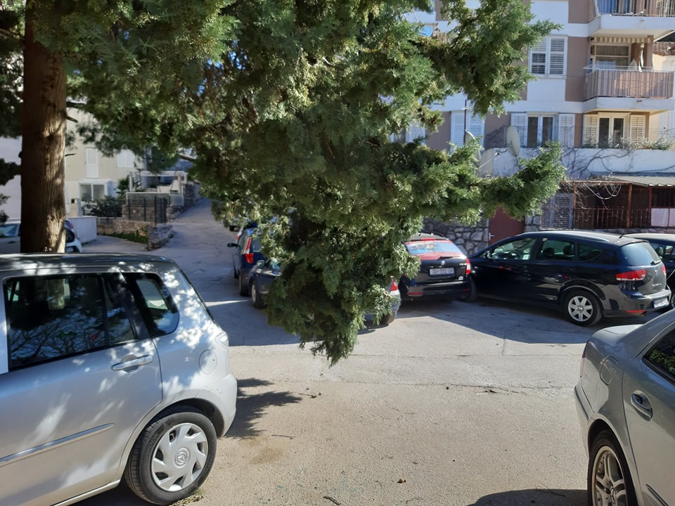 POSLJEDICE ORKANSKE BURE Čupala stabla po gradu, izazvala požare, štete se zbrajaju (FOTO/VIDEO)