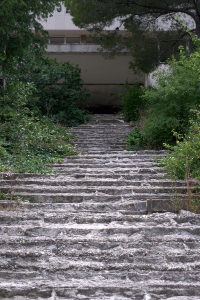 DSC_4609.jpg