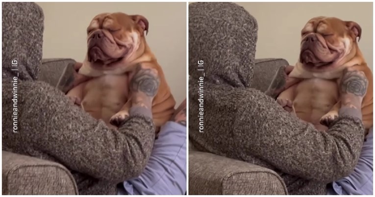 Ovaj pas uživa u masaži kao nitko nikad: 'Najrazmaženiji pas na svijetu' (VIDEO)