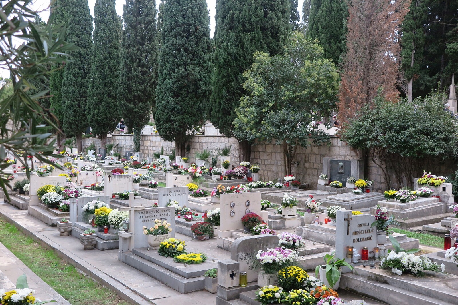 SJEĆANJE SVIH SVETACA