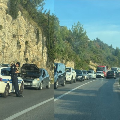 JAVLJA ČITATELJ