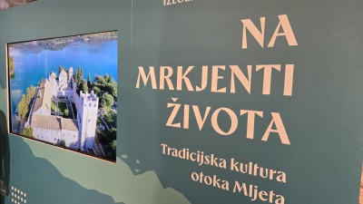 IMG_0801.jpeg