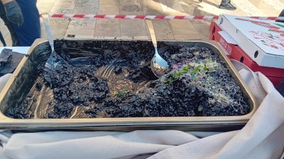 IMG_1121.jpeg