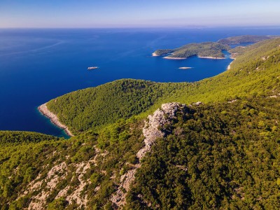 np-mljet-1.jpeg