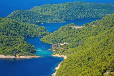 np-mljet.jpg