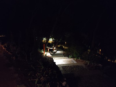 IMG_20260919_214135.jpg