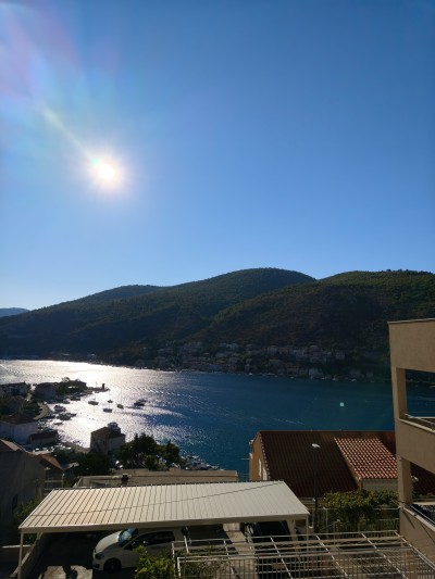 IMG_20260926_085647.jpg
