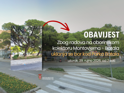 Uklanjanje bora zbog izgradnje oborinskog kolektora u Parku Batala