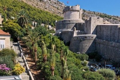 Nova sadnja palmi uz Posat za ljepši Dubrovnik
