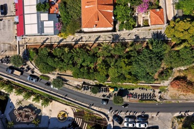 Nova sadnja palmi uz Posat za ljepši Dubrovnik