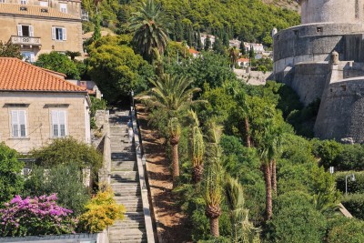Nova sadnja palmi uz Posat za ljepši Dubrovnik
