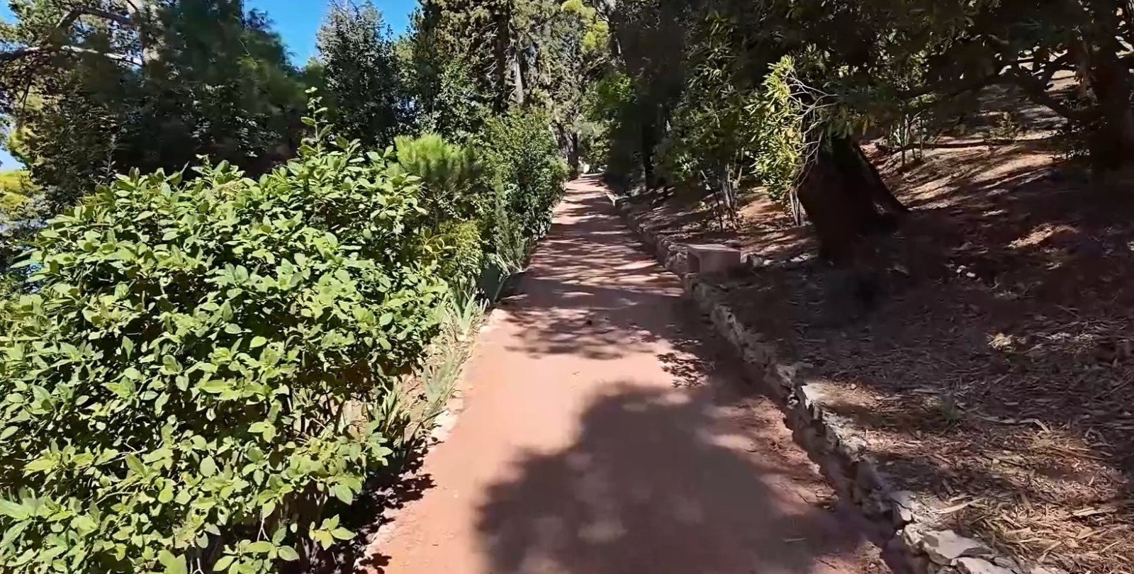 SVEČANO OTVORENJE