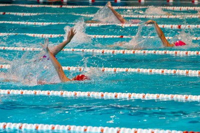 _MG_2431.jpg