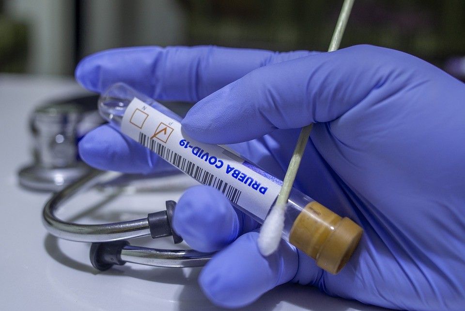 Znanstveno potvrđeno: Slatki pelin zaustavlja koronavirus u stanicama