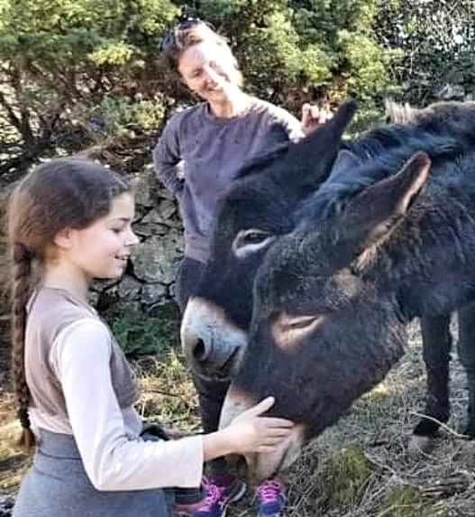 Royal, Max, Ćiro i Lazar završili su svoju agoniju, zbrinulo ih Društvo za zaštitu životinja