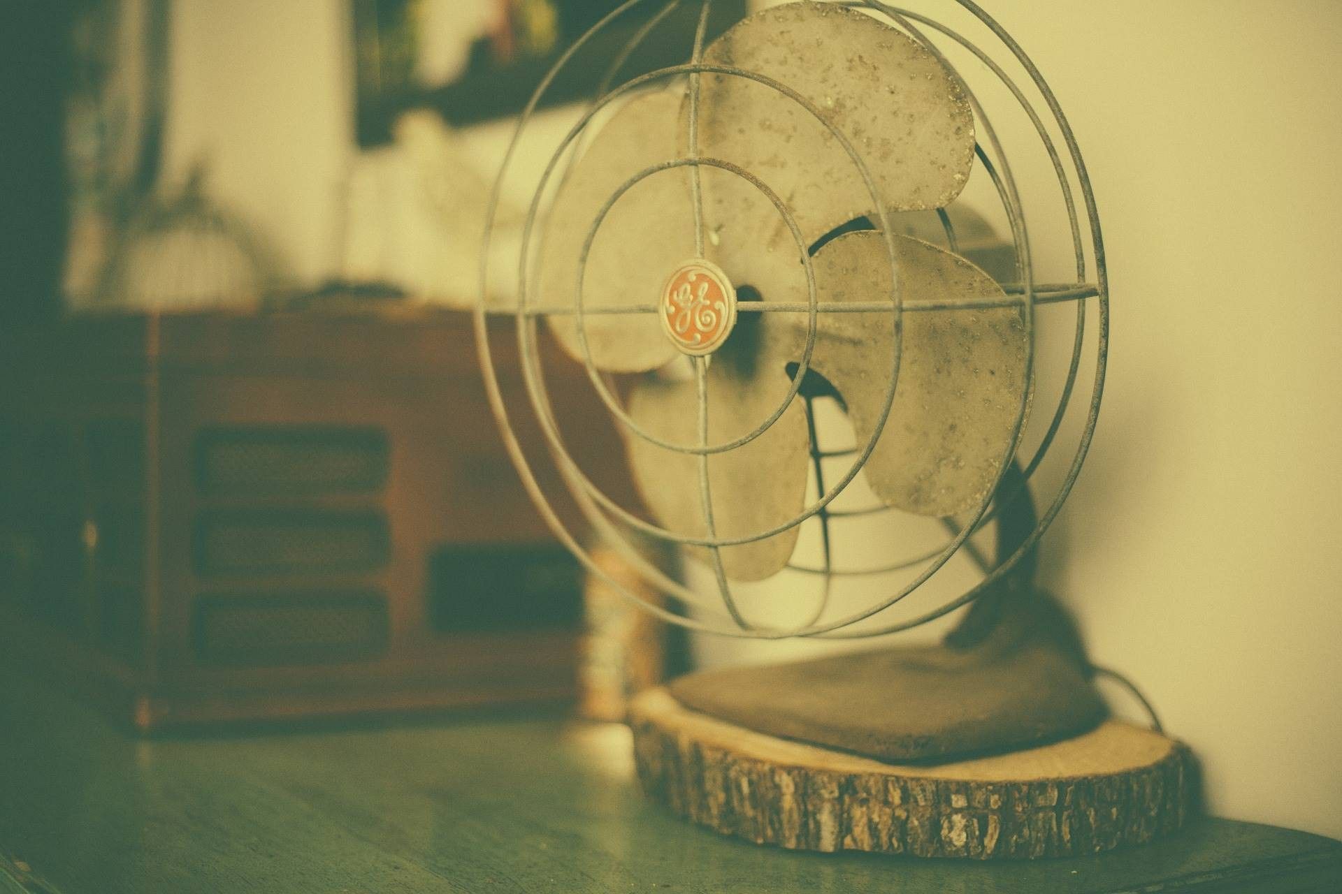 fan-349932_1920.jpg