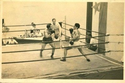 ratkozv.jpg